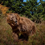 A true species ambassador, Adam shows off his massive claws.