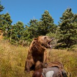 Coyote and Adam show us what to do if you're approached by a bear in the wild.