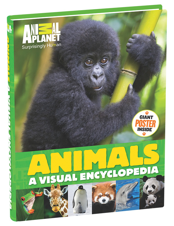 AP Encyclopeida_3D-Cover_big copy