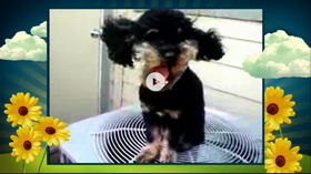 rsz_screen_shot_2014-07-22_at_35956_pm