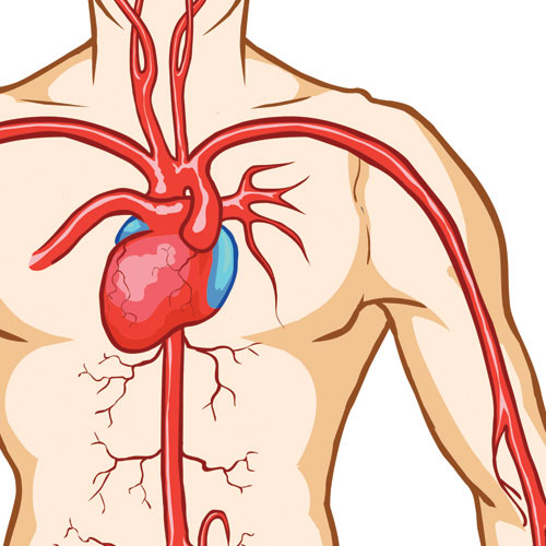 Blood Pressure