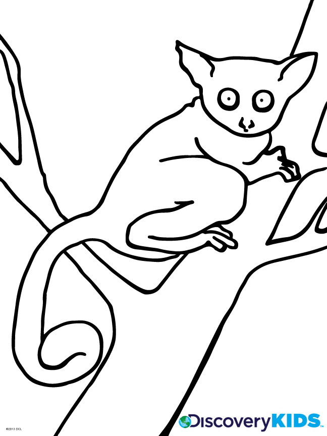 baby dk coloring pages - photo #15