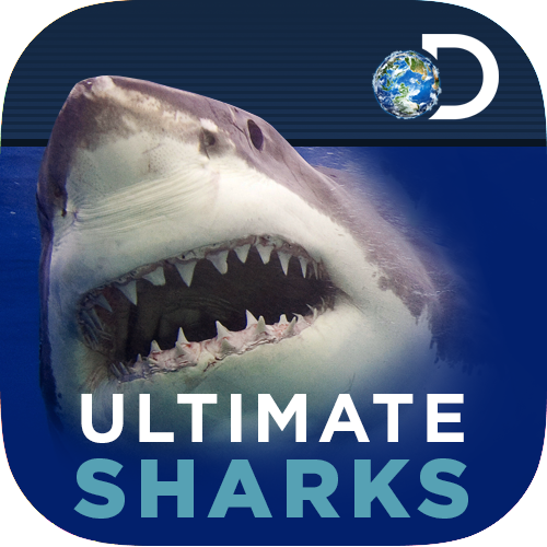 Ultimate Sharks