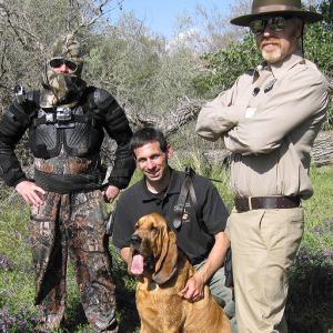 bloodhounds-sense-of-smell