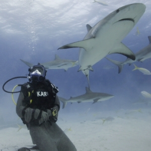 survive-shark-attack